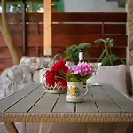 Vintage Garden Appartamento Pola