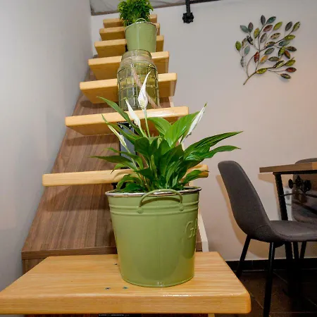 Apartamento Vintage Garden Pula