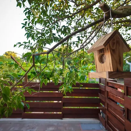 Vintage Garden * Pula