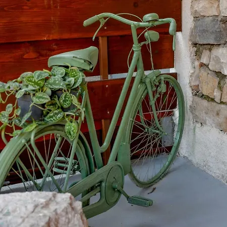 Lejlighed Vintage Garden *