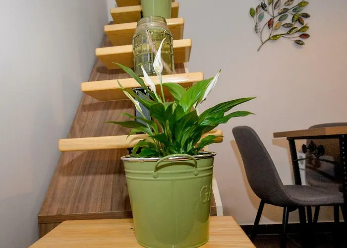 Apartment Vintage Garden Pula