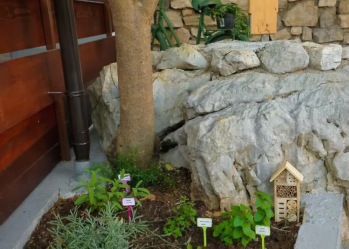 Apartment Vintage Garden