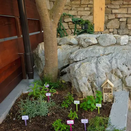 Apartman Vintage Garden